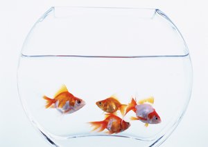 系统和传统方法对比评测