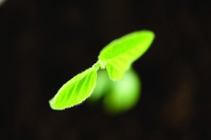 方案实战教程：手把手教你操作